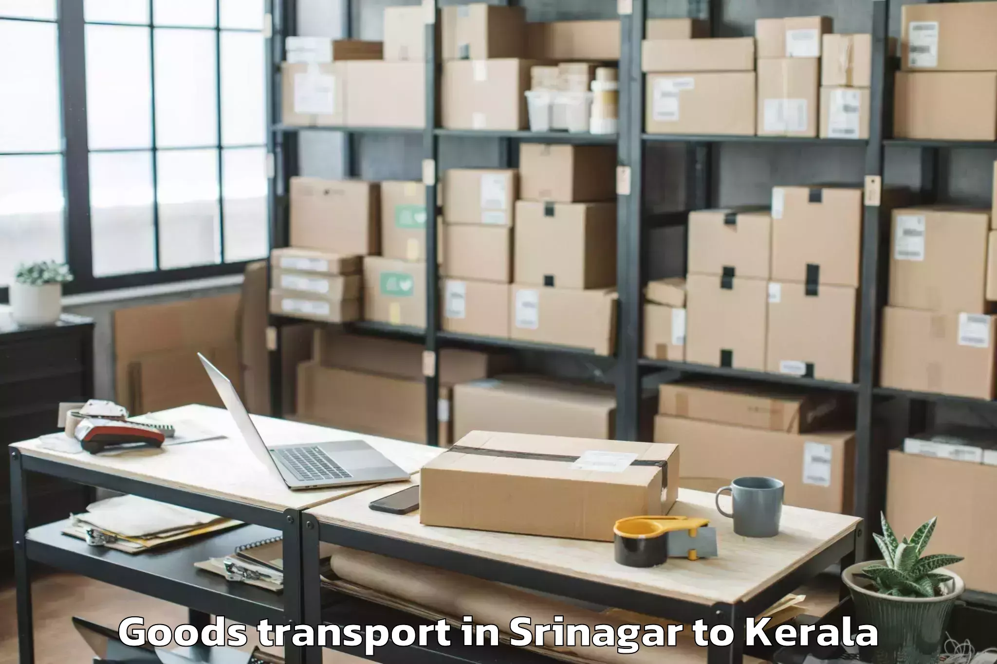 Top Srinagar to Panthalam Goods Transport Available